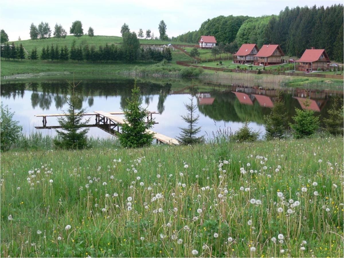 Mieszkanie Nad Jeziorem Rydzowka+Prywatny Staw+Plaza+Mazury Srokowo Экстерьер фото